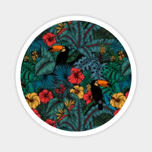 Toucan garden Magnet